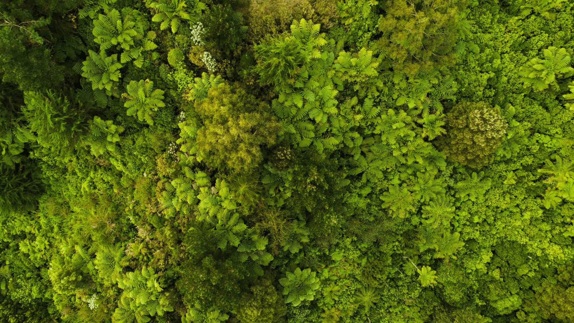 How to be a more Sustainable Traveler